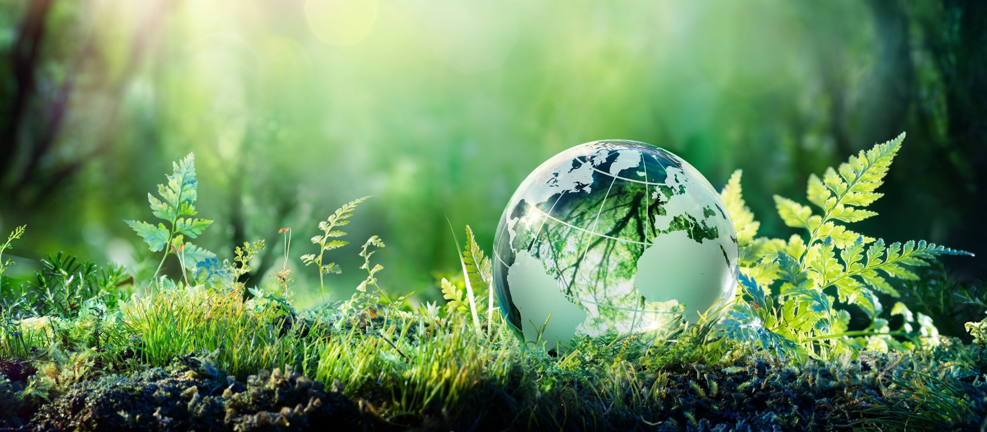 Sustainability for Insurance Hero