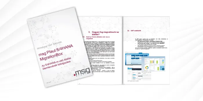 msg Plaut S/4HANA MigrationBox - Az S/4HANA-ra való átállás ütemtervének kidolgozása