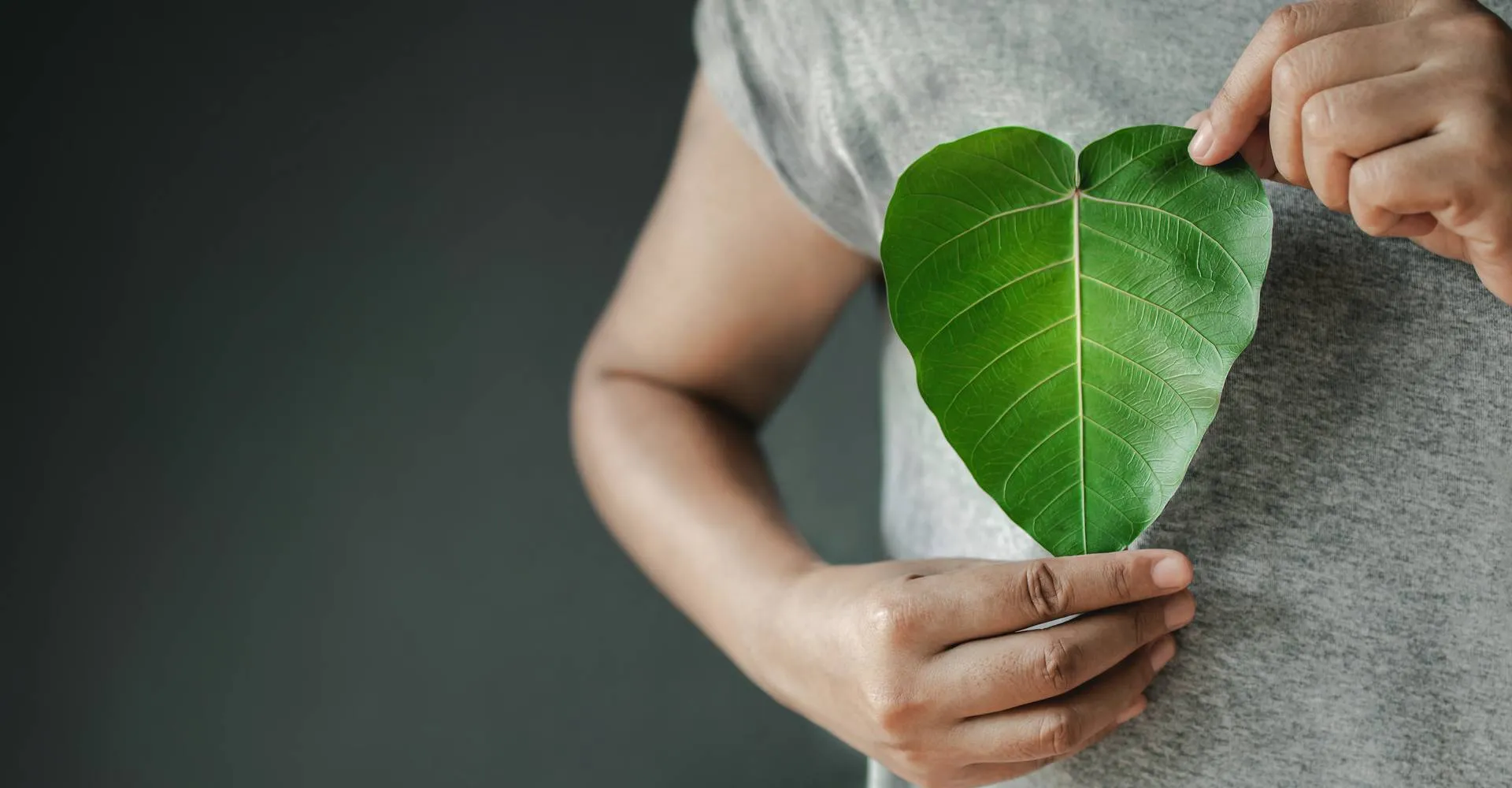 msg-esg Kriterien Nachhaltigkeit