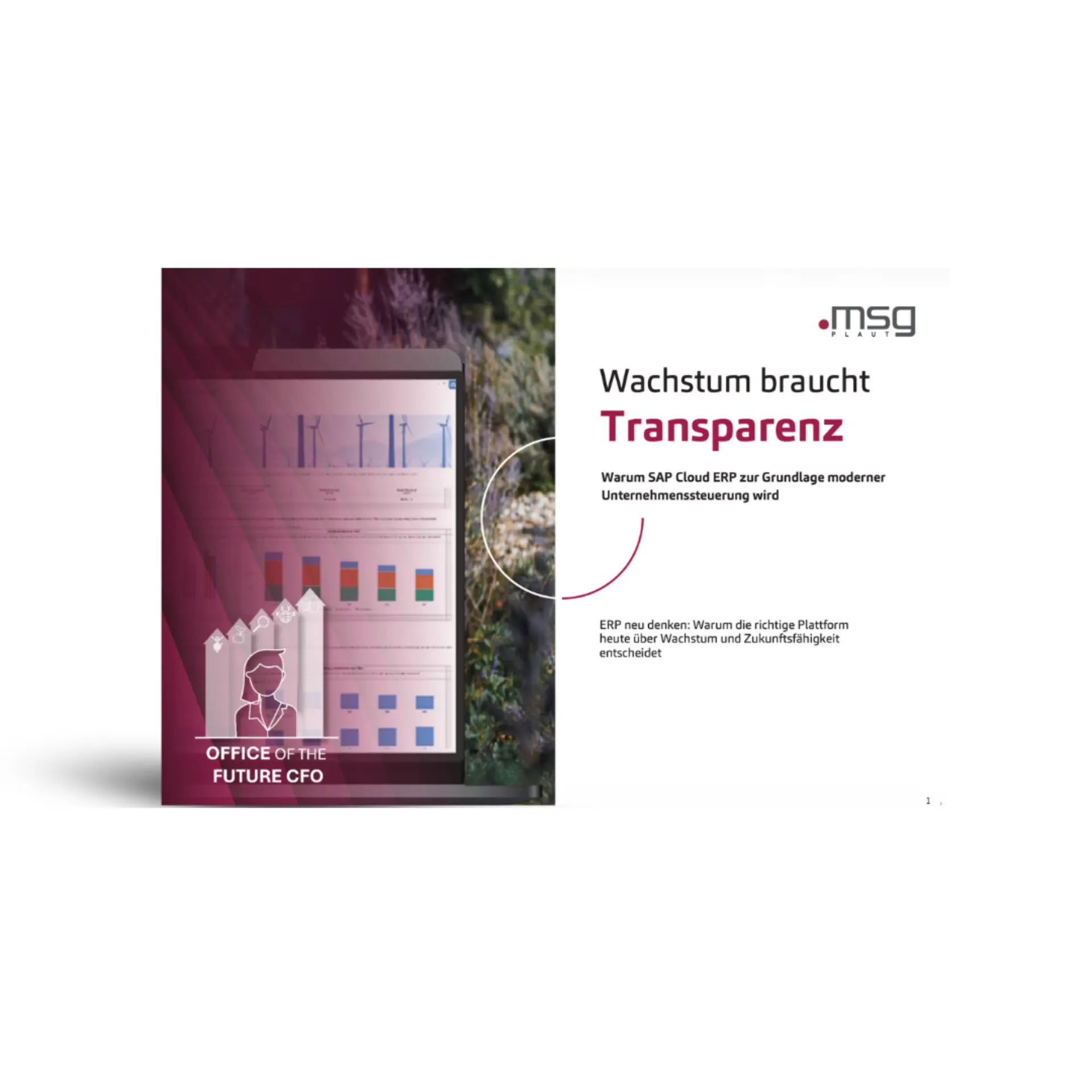 mockup_sap_cloud_erp_whitepaper26