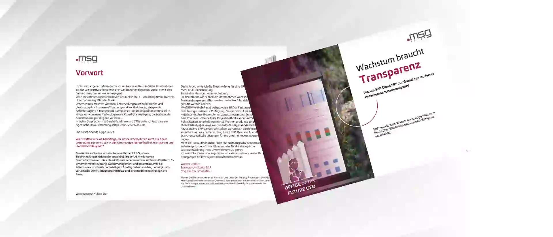 mockup_whitepaper_quer_sap_cloud_erp_26