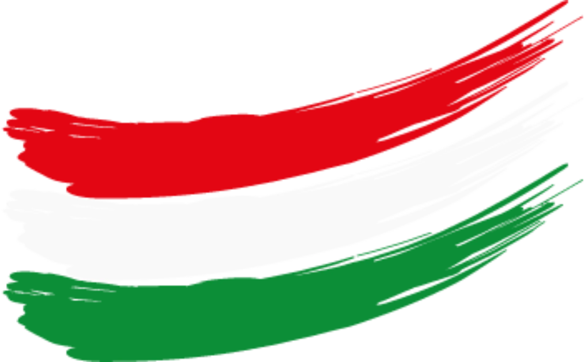 msg plaut hungary flag