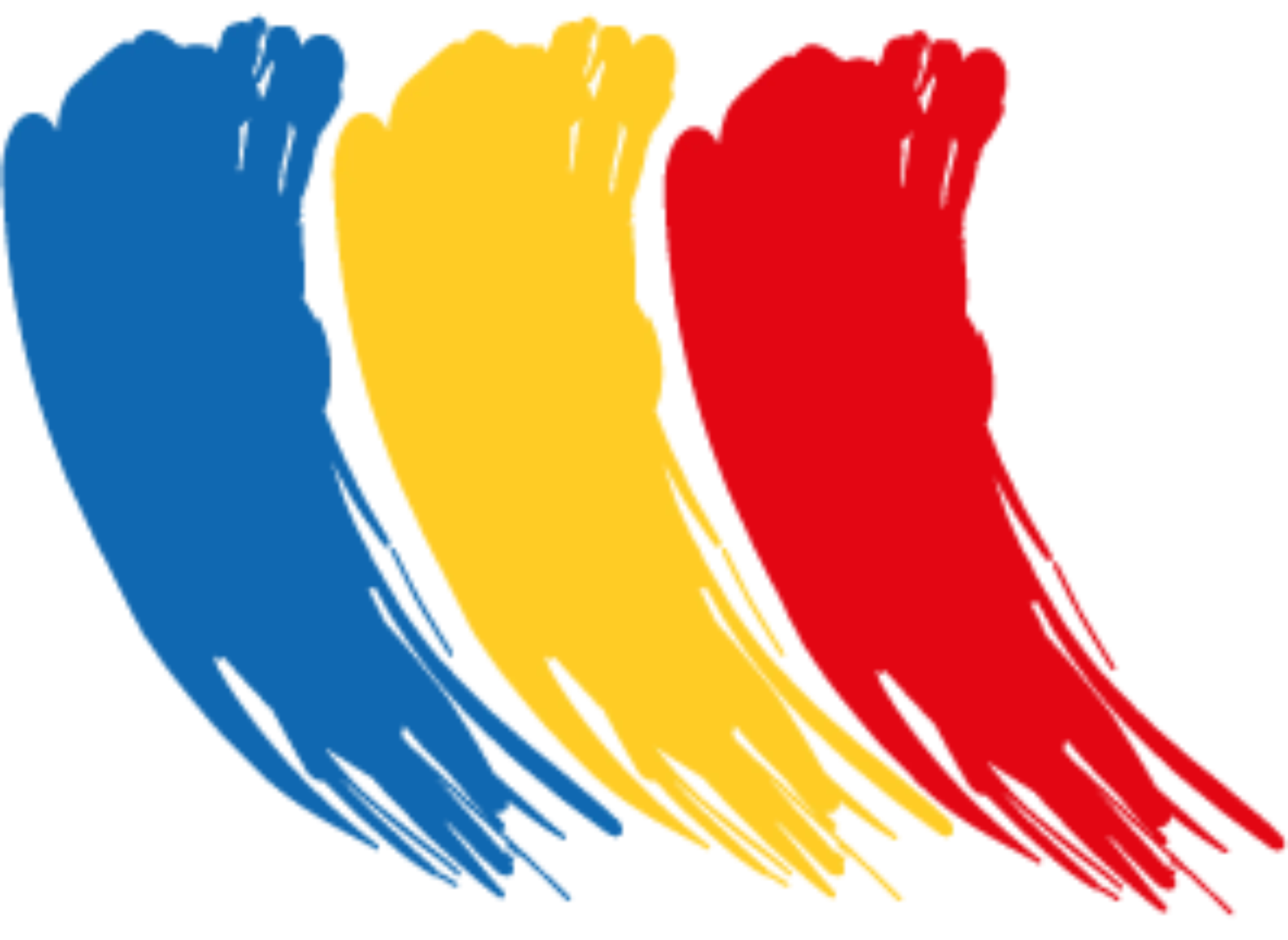 msg plaut romania flag